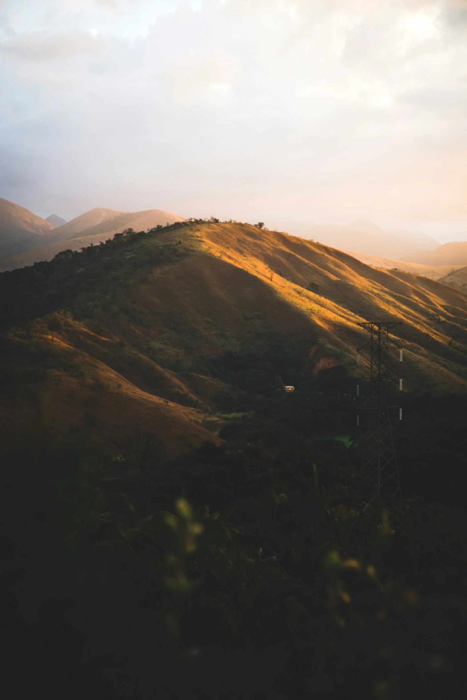 the view of a grassy hill in the mountains