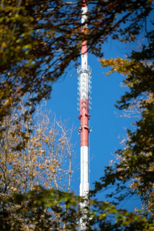 an old cell phone tower is visible through the trees