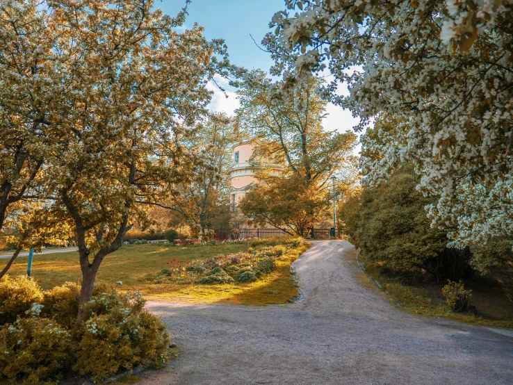 a paved road that goes to the building with trees along side it