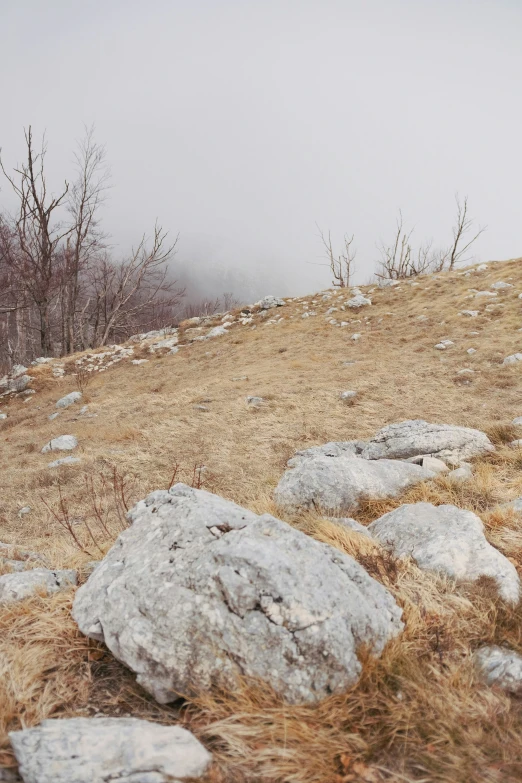 a man on a mountain looking at his cellphone