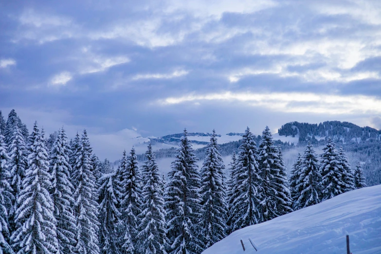 the snow covered hillside is surrounded by many pine trees