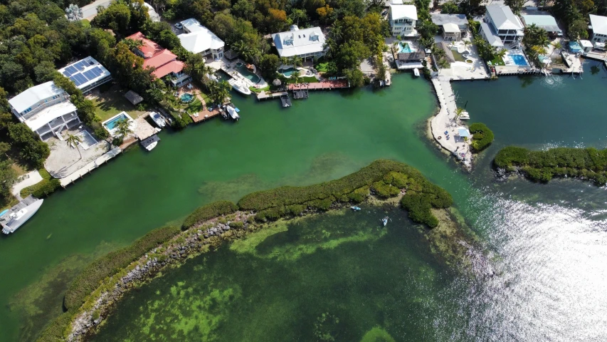 an aerial view of a dock with a green pond