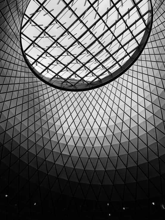 a ceiling in the middle of a building with a wire frame covering it