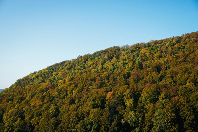 a tall hillside with green trees on it