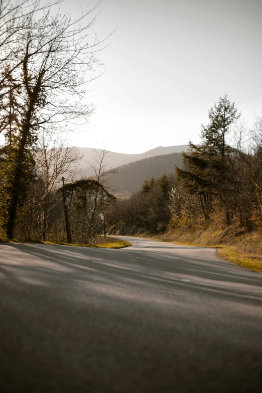 a country road is surrounded by trees and mountains