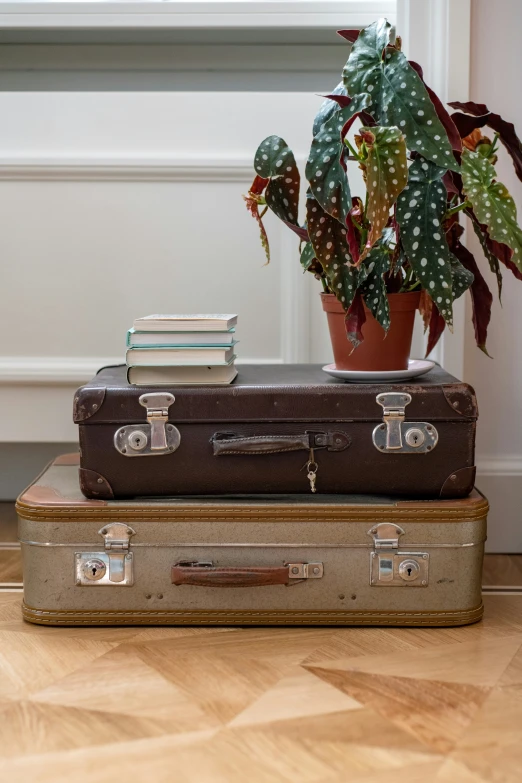 a brown and black suit case some plants and some books