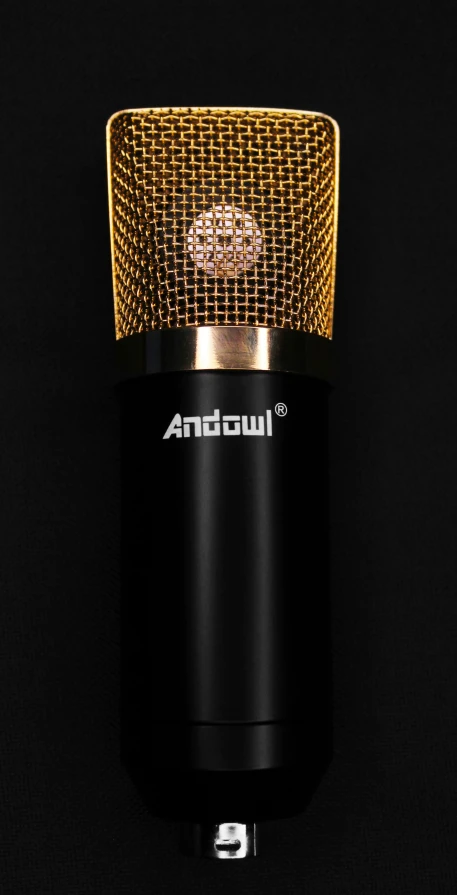 the gold - plated microphone is hanging from the pole