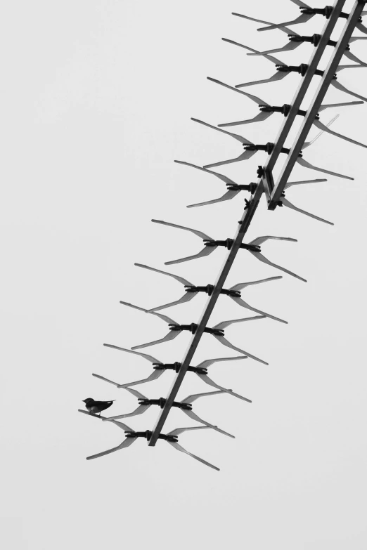 a bunch of birds sitting on a tall metal fence