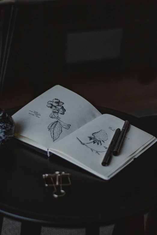 a book sitting on top of a table