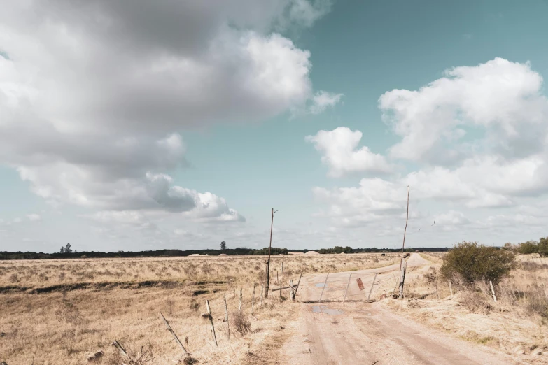 a dirt road in a dry grass field