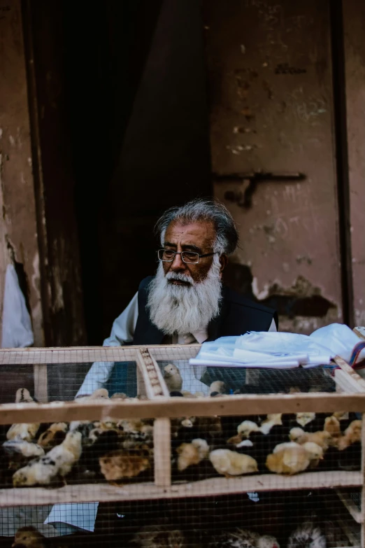 a bearded man with a long beard stands in front of a store with chickens