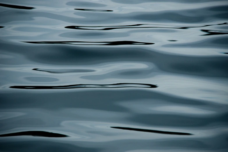 water ripples onto the surface as it reflects in the lake