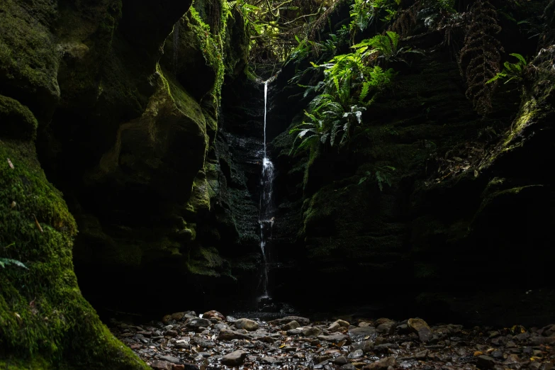 some moss covered rocks and a waterfall in the jungle