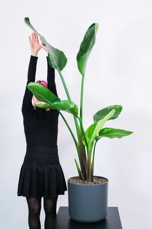 a person in black jacket with green plant sitting on top of table