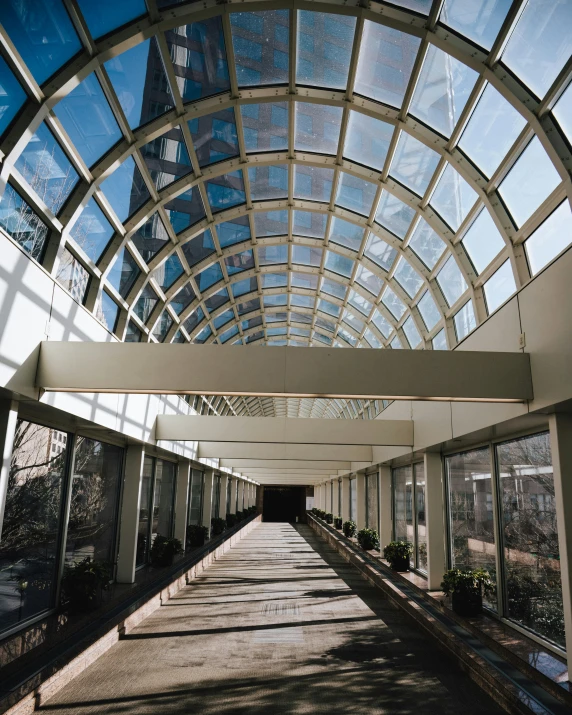 a walkway with multiple glass windows in it