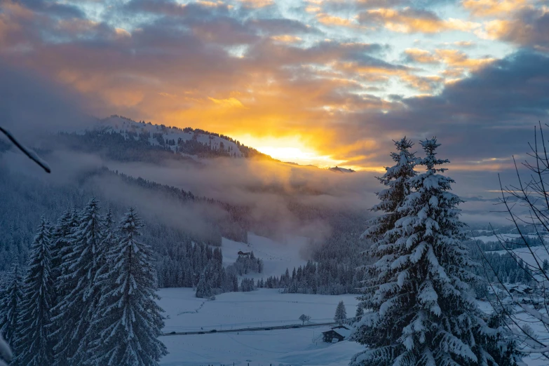 snowy trees and mountain at sunrise with clouds