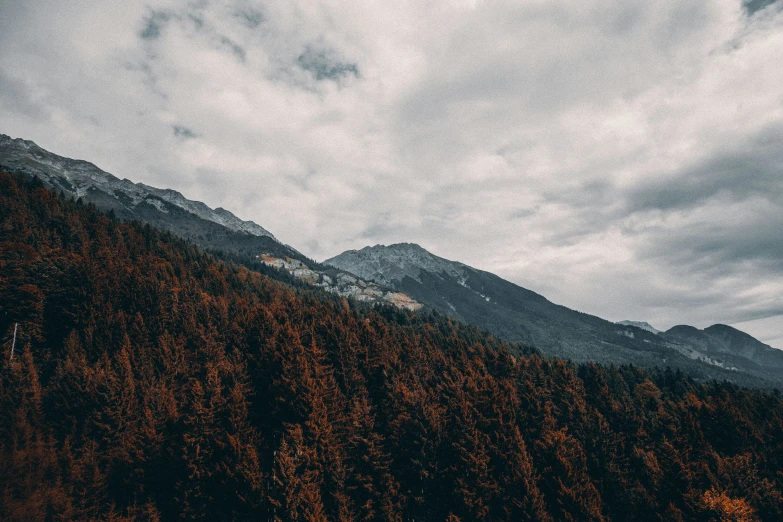 trees and a mountain on a cloudy day