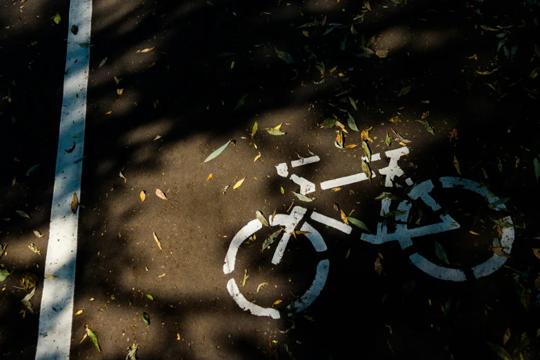 a bicycle is painted on the sidewalk near leaves