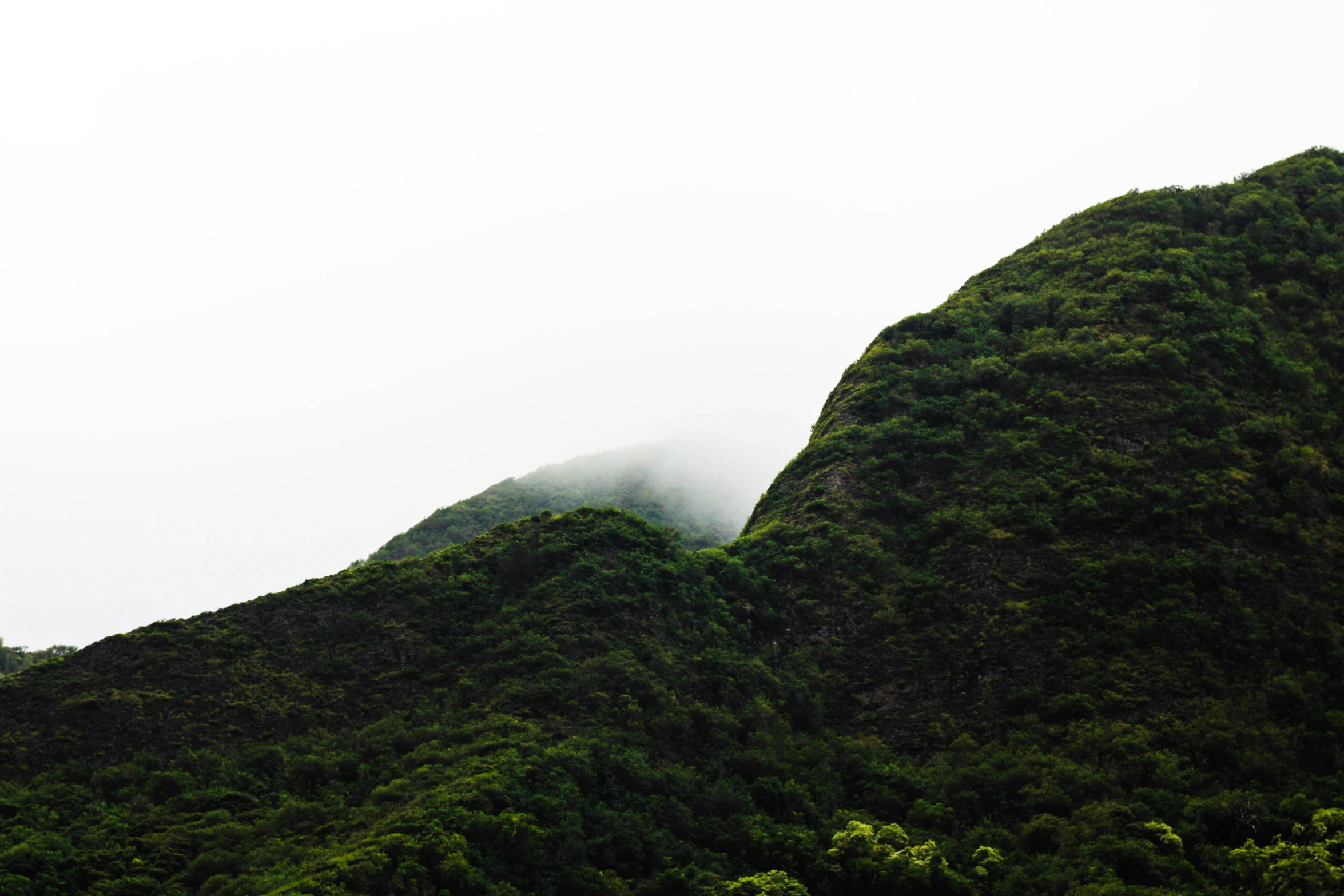 mountains rising into the distance, with mist coming off them