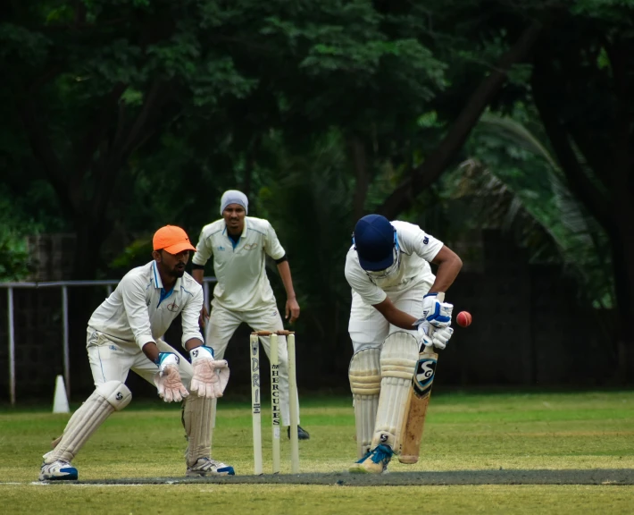 two men playing cricket in a park on a sunny day