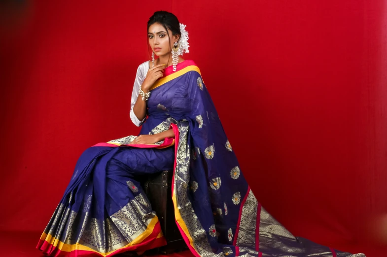 woman in traditional sari posing for the camera