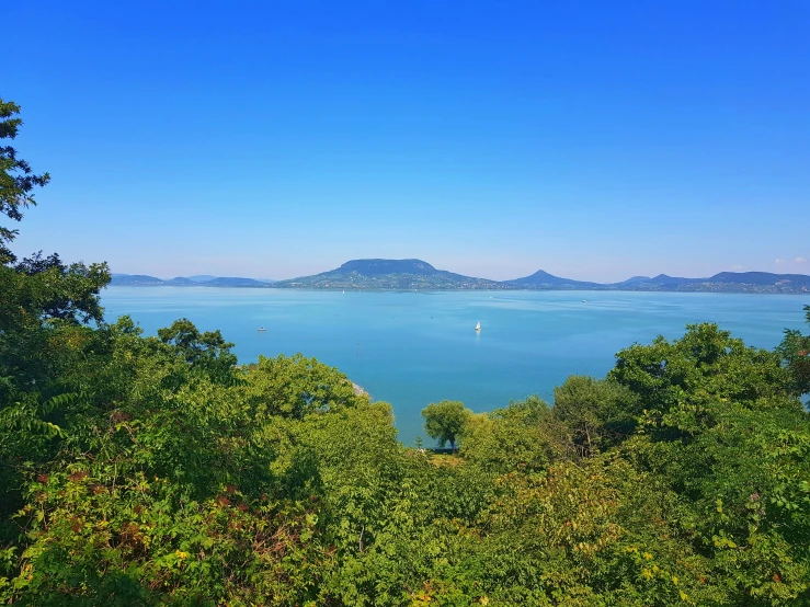 the view of a bay surrounded by forested trees