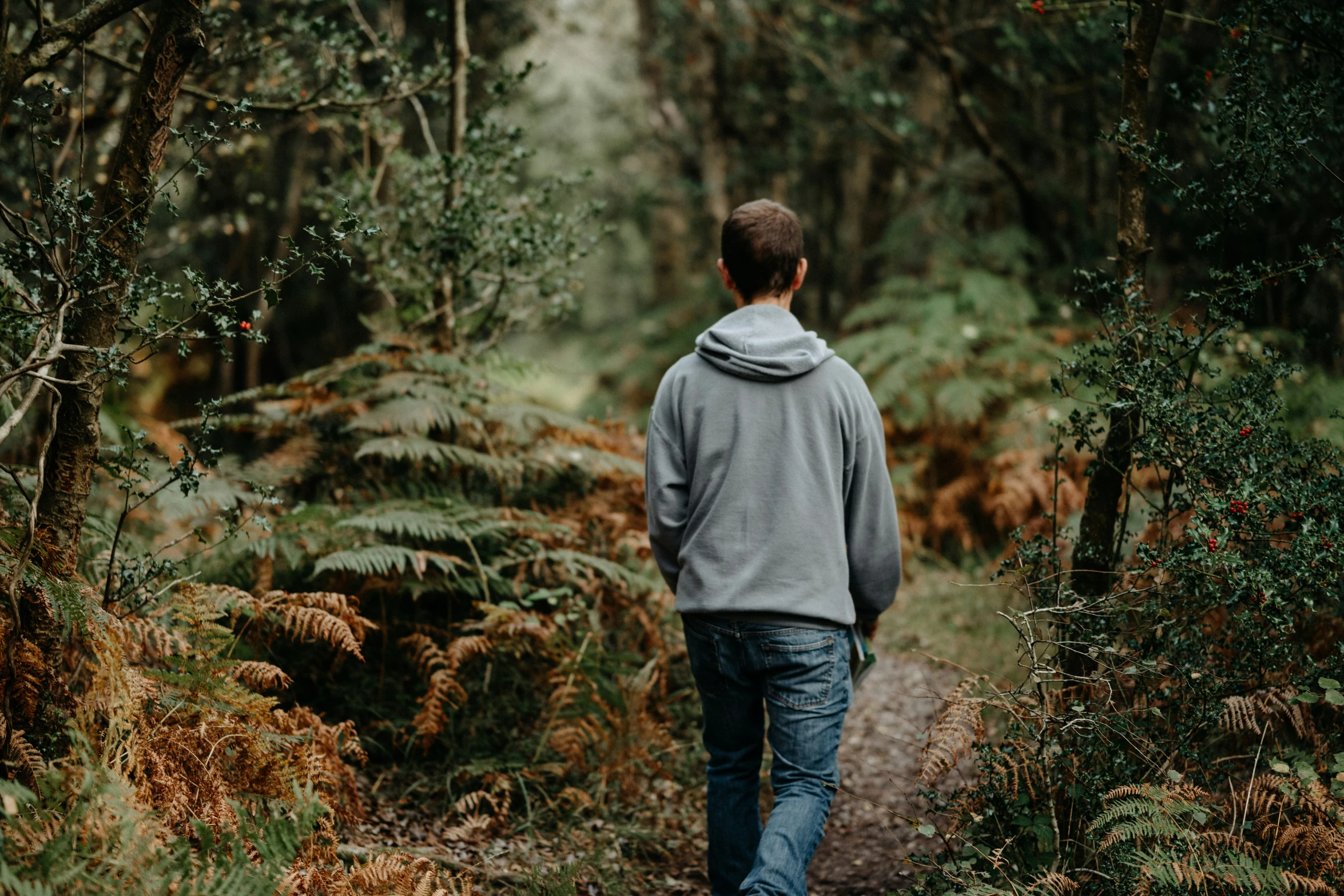 a man walks in the woods alone