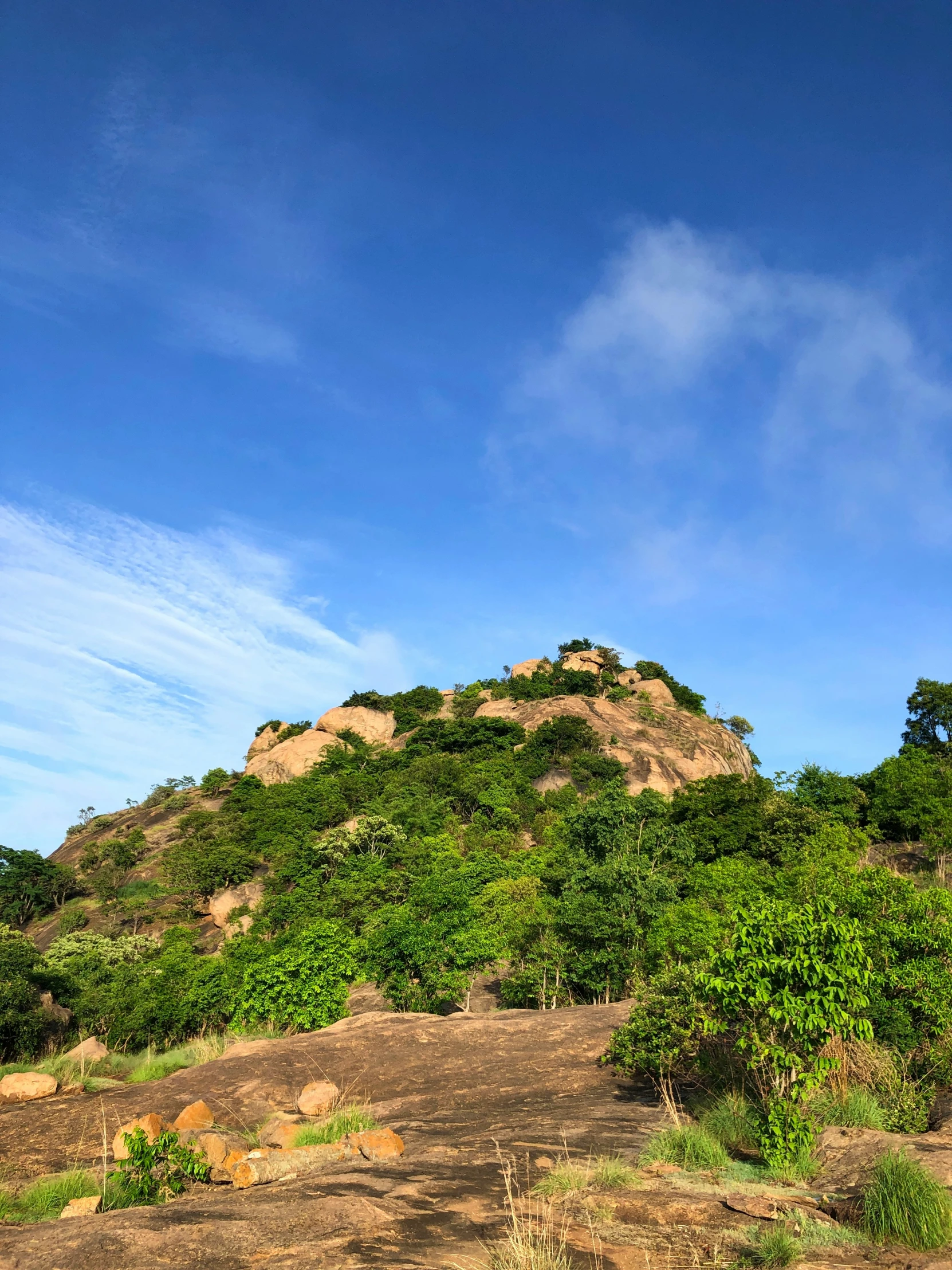 a hill with trees on top and blue sky above