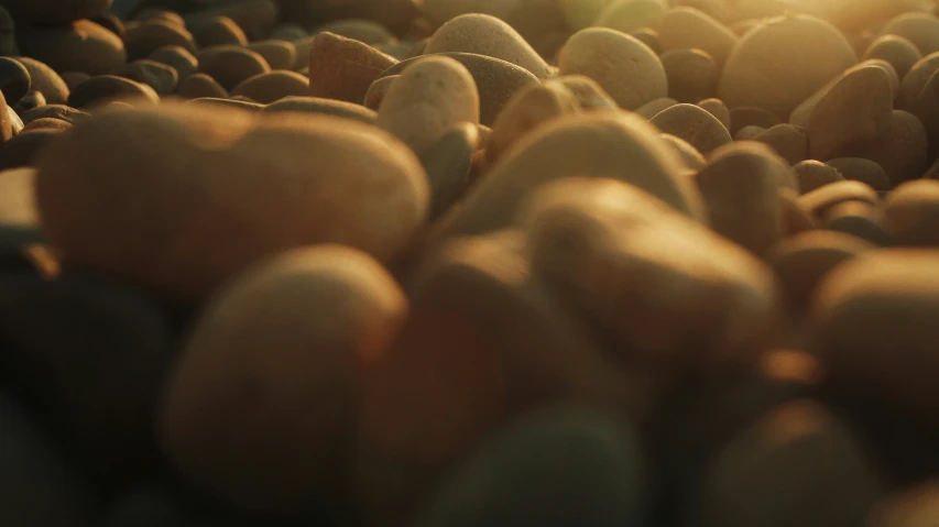 a bunch of small rocks with some sunlight reflecting off the rocks