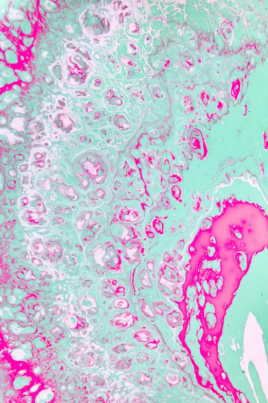 a close up image of some pink and green material