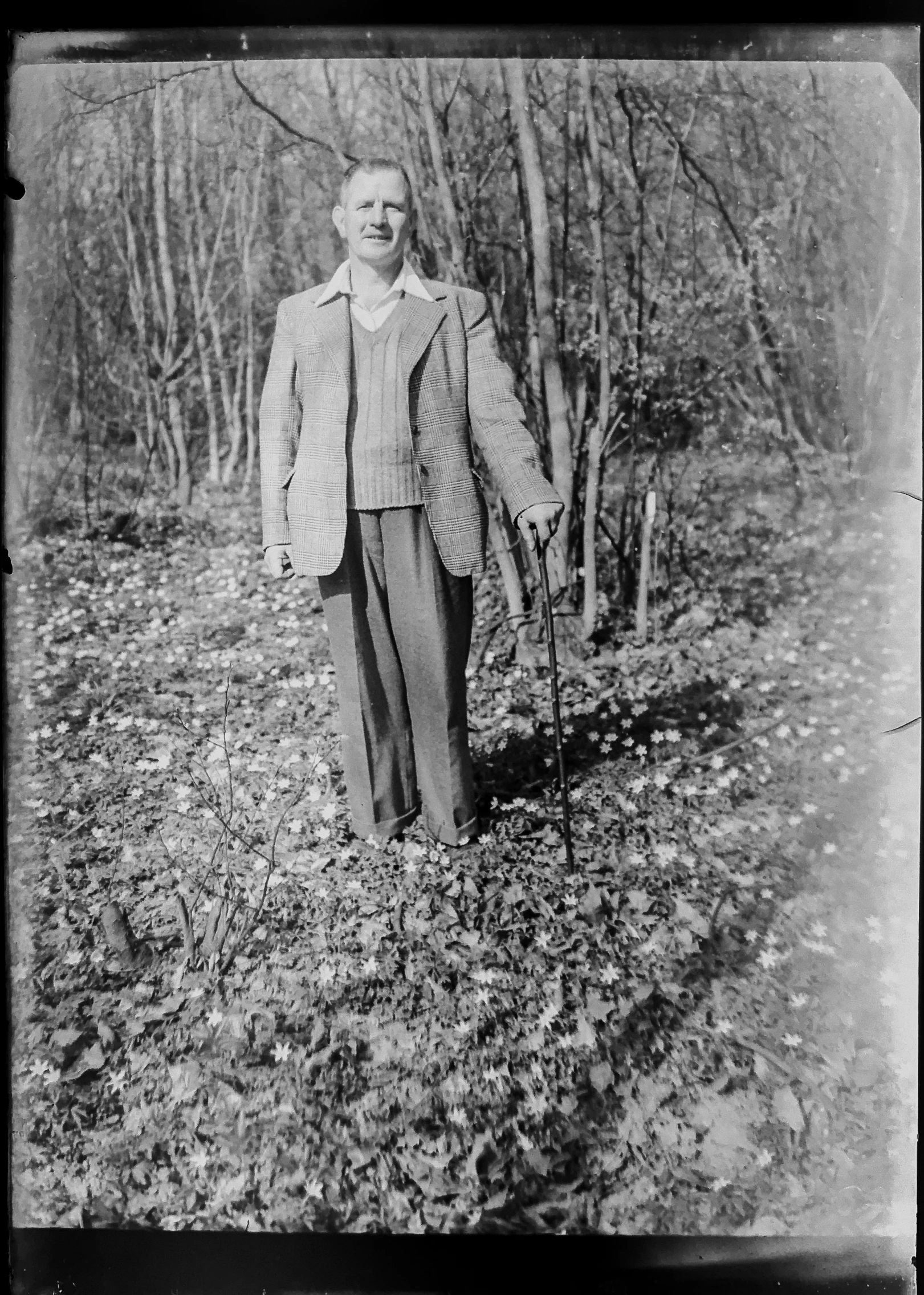 an old woman is posing in a wooded area