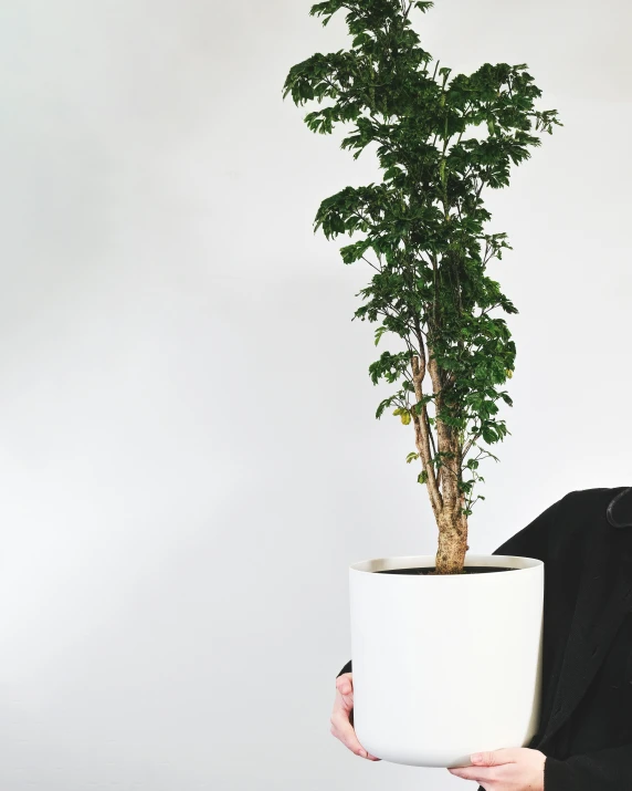 a woman holds a plant in a big white pot