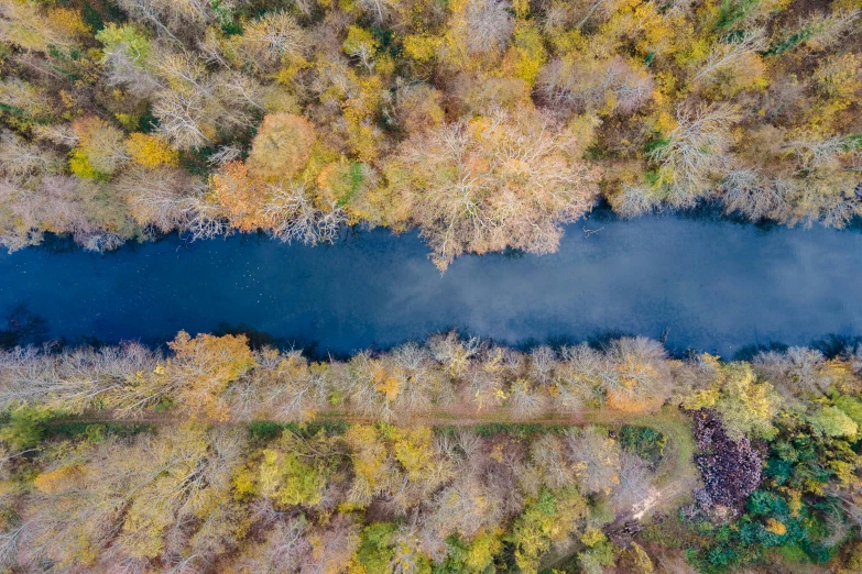 an aerial s of a body of water surrounded by forest