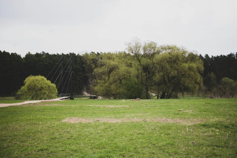 a person with umbrella in a grassy area