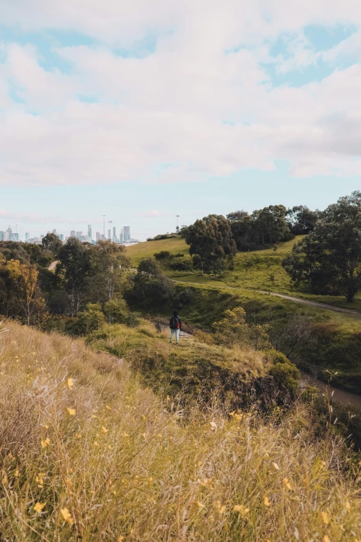 a person on the trail by some trees and flowers