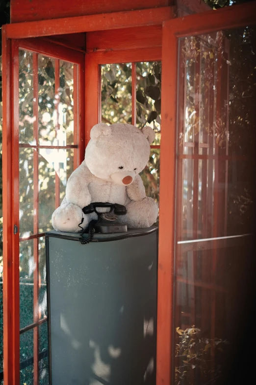 a teddy bear sits in a trash can