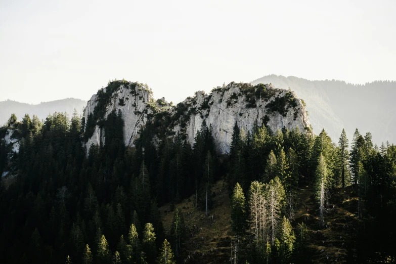 a hillside with tall green trees and mountains in the distance