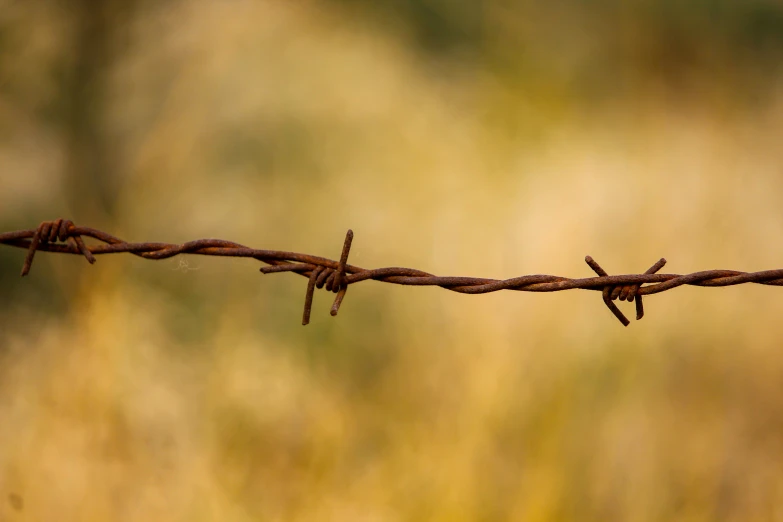 the barbed wire is close up and ready to be used