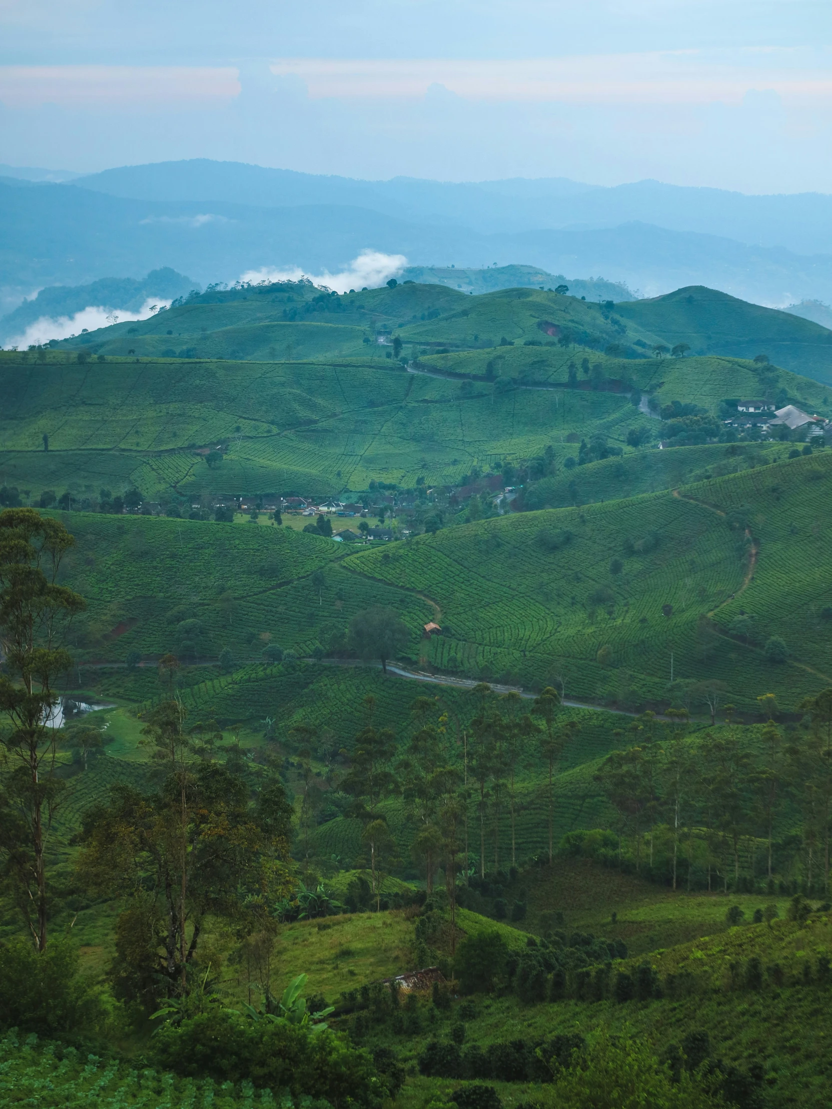 the rolling hills of green hills that are near one another