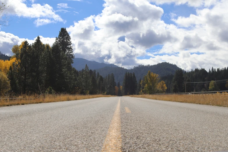 a gravel road next to a lush green hillside and forest