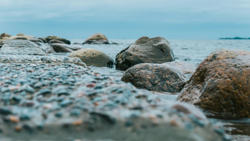 rocks and seaweed in a body of water