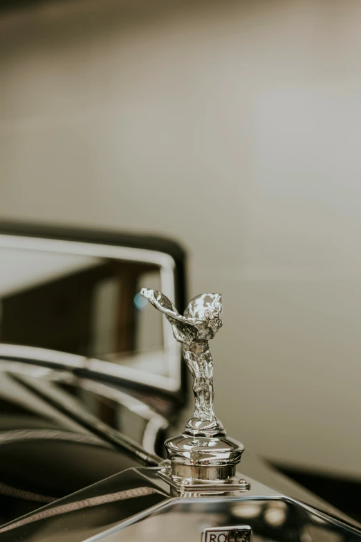 a car's emblem is on the hood ornament