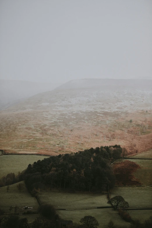 an aerial view of a field with trees and fog