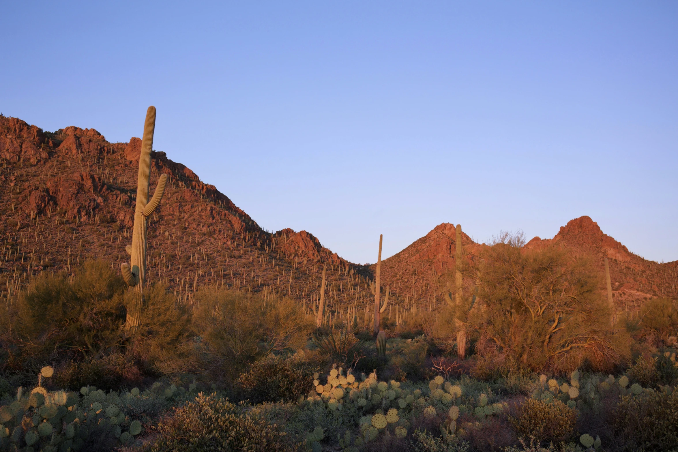 there are many large, desert like mountains along with a cactus