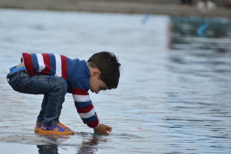 a  plays in the water near the shoreline