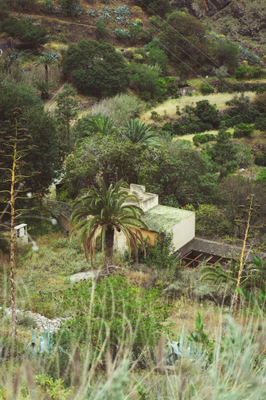 a building with vegetation near it is in the hills