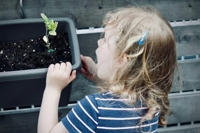 a young child looking down at the seedlings that will grow in the planter