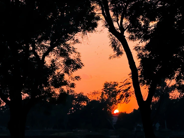 a sunset with the sun peeking out between trees