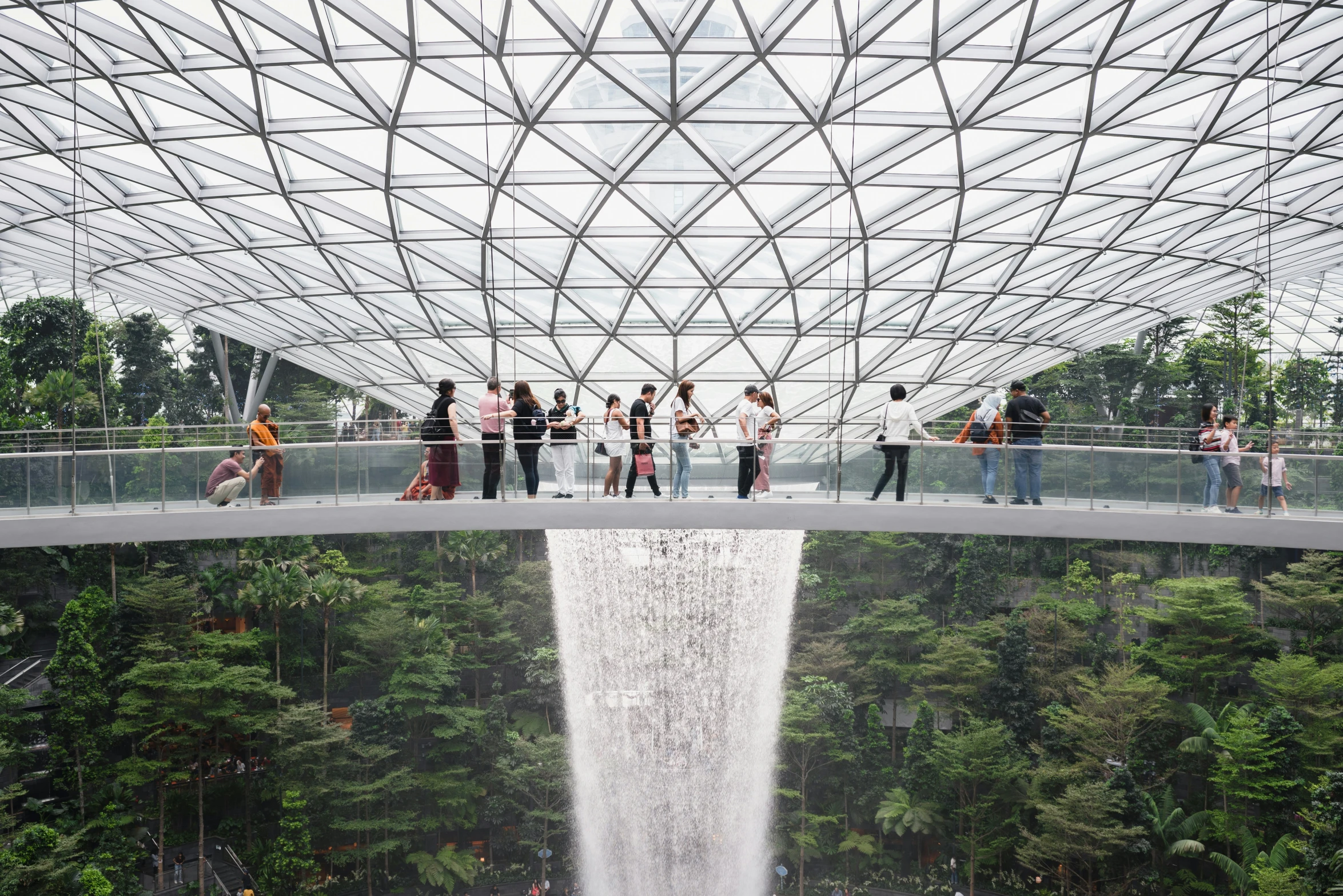 tourists standing on a bridge in a botanical area