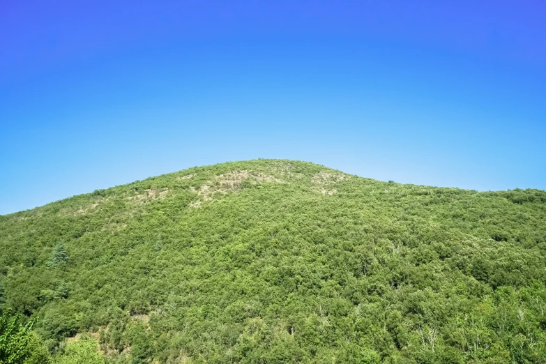 a very large hill with trees and bushes on top